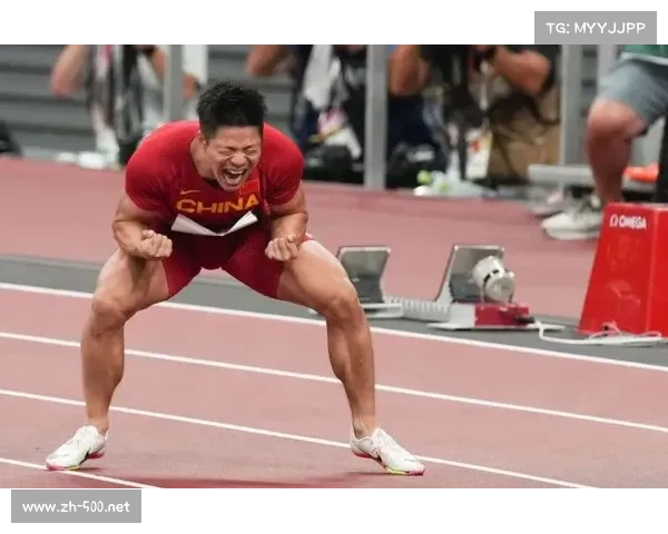 2008年刘翔奥运会经典门票回顾 揭秘背后的历史与激情瞬间